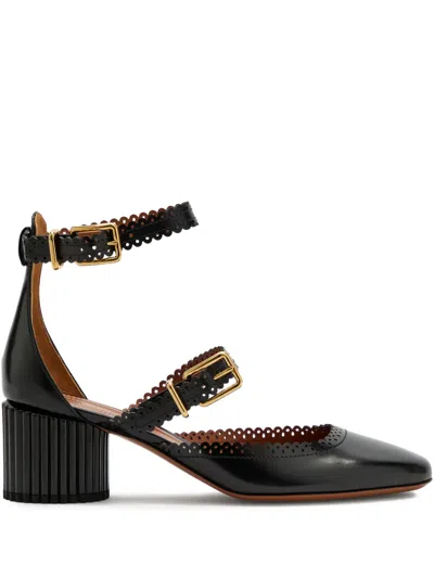 Zimmermann Eddie Suede Pumps In Black