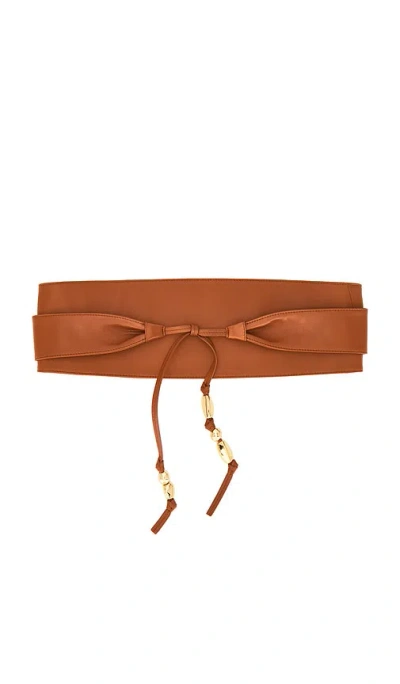 Zimmermann Foam Pebbles Wrap Belt In Brown