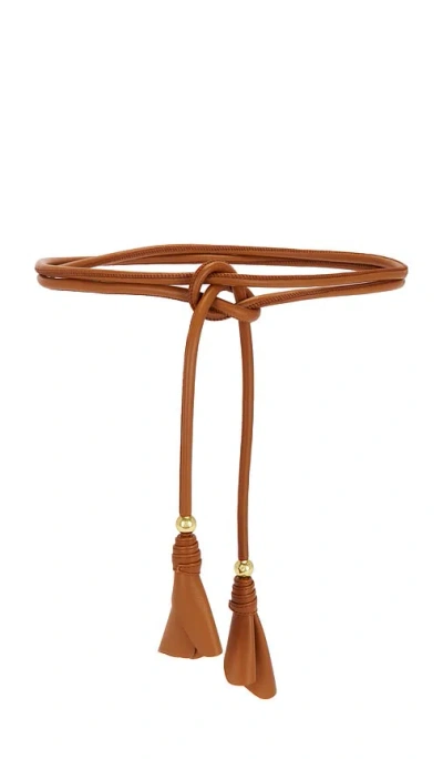 Zimmermann Foam Petals Thin Belt In Tan