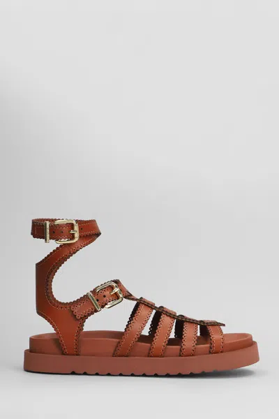Zimmermann Goldie Gladiator Flats In Brown Leather