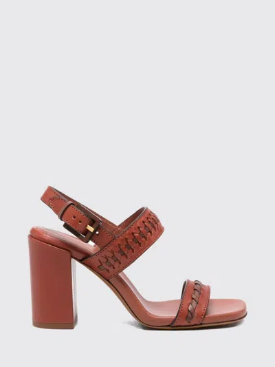 Zimmermann Heeled Sandal Woman Color Earth