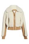 Zimmermann Hypnotic Genuine Shearling Bomber Jacket In White