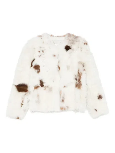 Zimmermann Hypnotic Spot Shearling Jacket In White