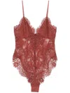 Zimmermann Illustration Semi-sheer Lace Bodysuit In Brown