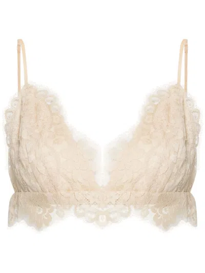 Zimmermann Illustration Lace Bralette In Neutrals