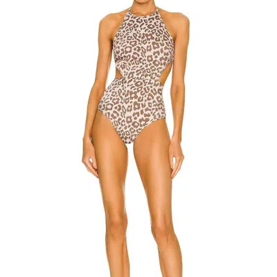 Zimmermann Jude Cut Out One Piece Swimsuit In Brown