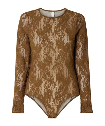 Zimmermann Stretch-corded Lace Bodysuit In Brown