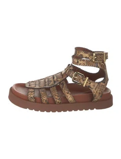 Pre-owned Zimmermann Leather Animal Print Gladiator Sandals In Brown