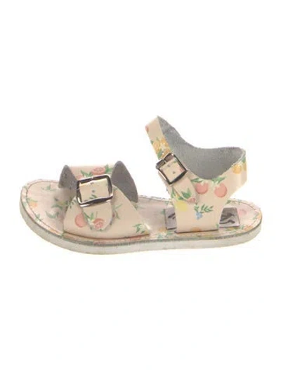 Pre-owned Zimmermann Leather Floral Print Sandals In Neutrals