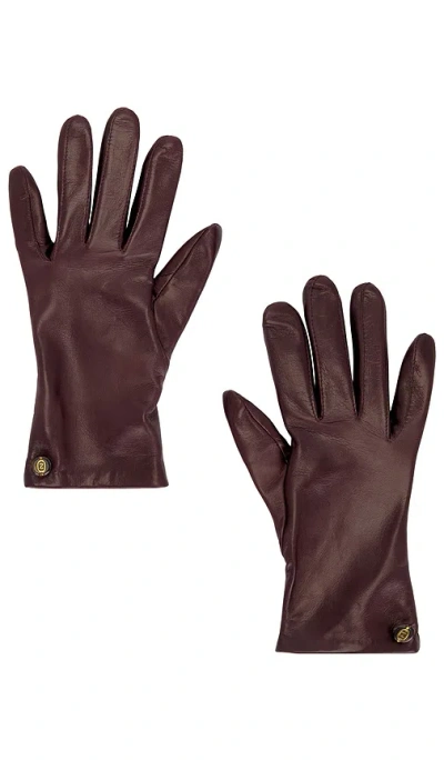 Zimmermann Leather Gloves In Burgundy