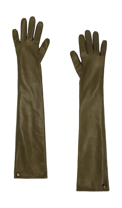 Zimmermann Leather Long Gloves In Olive