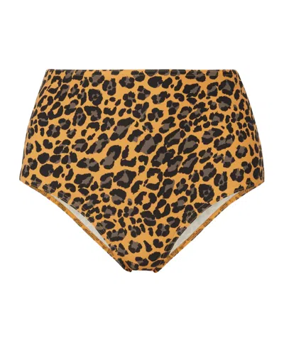 Zimmermann Leopard Print Bikini Briefs In Black