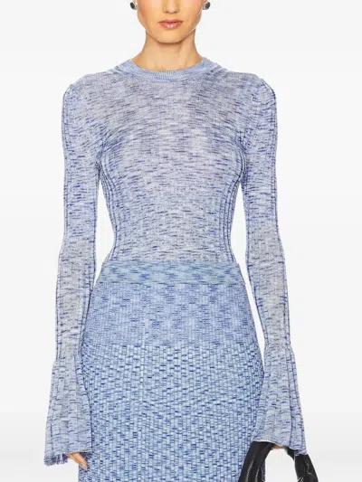 Zimmermann Mouline Long-sleeves Top In Blue