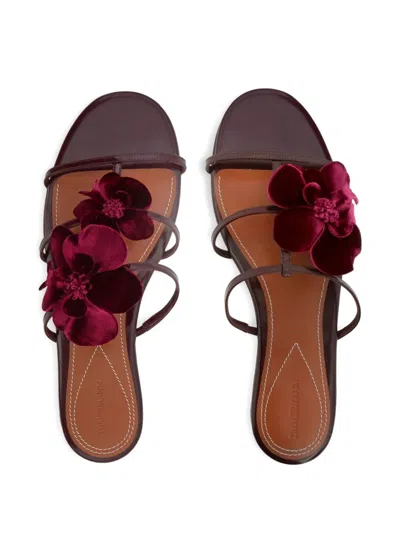 Zimmermann Orchid Leather Flat Sandals In Brown