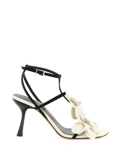 Zimmermann Blackwhite Orchid Heels