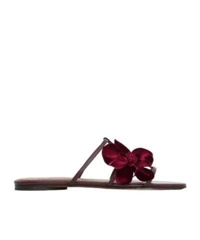 Zimmermann Orchid Slide Floral-applique Sandals In Brown