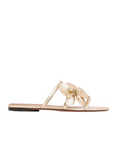 Zimmermann Orchid Slide In Nude | ModeSens