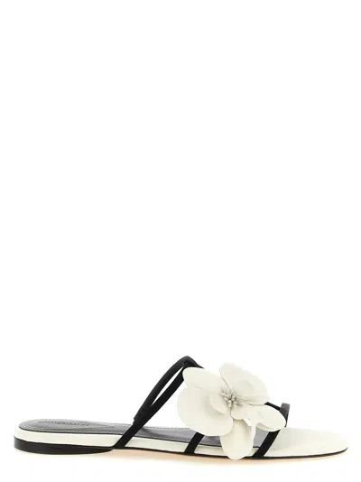 Zimmermann Orchid Slides In White