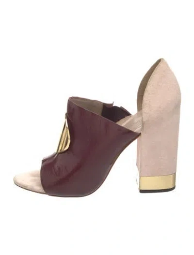 Pre-owned Zimmermann Patent Leather Sandals In Burgundy