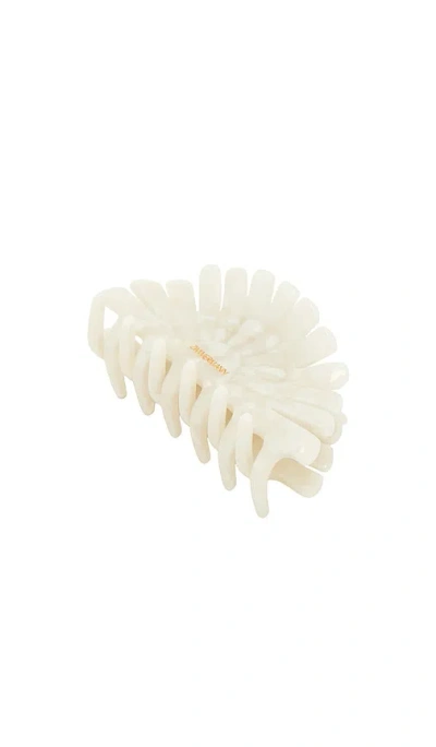 Zimmermann Peacock Hair Clasp In Cream