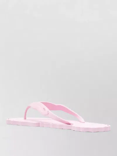 Zimmermann Scalloped Thong Sandals Open Toe Design In Pink
