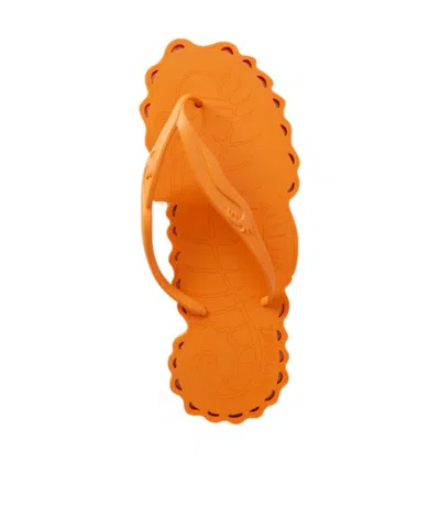 Zimmermann Seafoam Rubber Thong Sandals In Orange