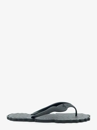 Zimmermann Seafoam Thong Rubber Sandals In Black