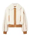 Zimmermann Hypnotic Genuine Shearling Bomber Jacket In White