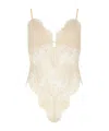 Zimmermann Illustration Velvet-trimmed Lace Bodysuit In Nude