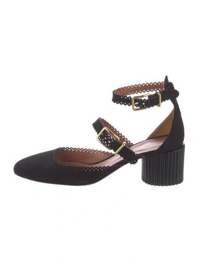 Pre-owned Zimmermann Suede Pumps In Blue