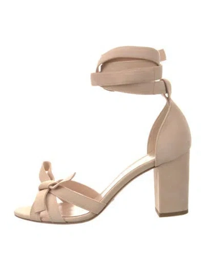 Pre-owned Zimmermann Suede Sandals In Pink