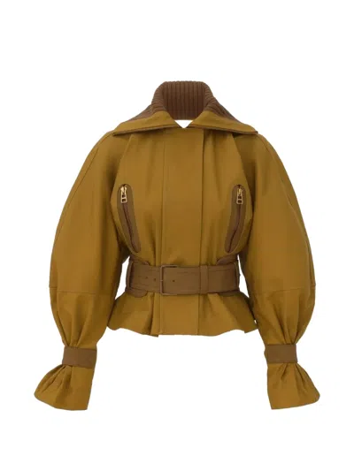 Zimmermann Valiant Cropped Belted Two-tone Cotton-twill Jacket In Gold