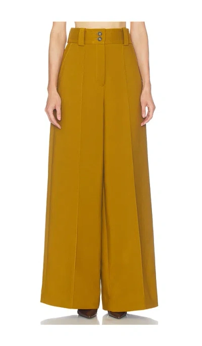 Zimmermann Valiant Wide Leg Pant In Brown