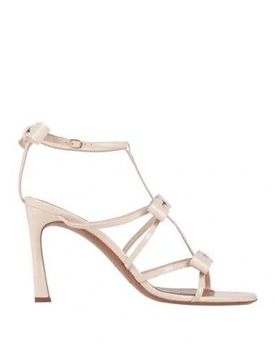 Zimmermann Woman Sandals Blush Size 7 Leather In Multi