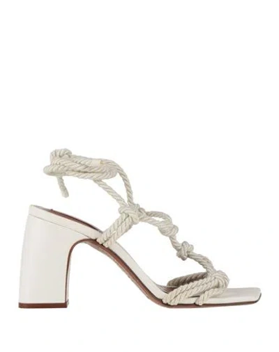 Zimmermann Woman Sandals Off White Size 11 Textile Fibers In Neutral
