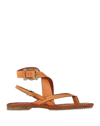 Zimmermann Woman Thong Sandal Orange Size 8 Leather In Brown