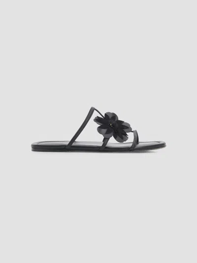 Zimmermann Women's Belara Flower-appliqué Leather Sandals In Black