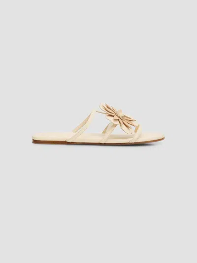 Zimmermann Women's Belara Flower-appliqué Leather Sandals In Neutral