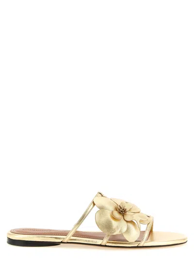 ZIMMERMANN WOMEN GOLDEN ORCHID SANDALS, 3.5 LUXURY SANDALS & FLOATERS FOR WOMEN DARVEYS