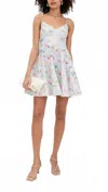 Zimmermann Lucky Lace-trimmed Floral-print Linen Mini Dress In Animal Print