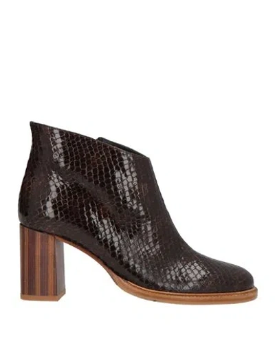 Zinda Woman Ankle Boots Black Size 7 Leather
