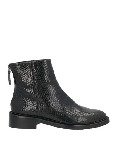 Zinda Woman Ankle Boots Black Size 7 Leather In Multi