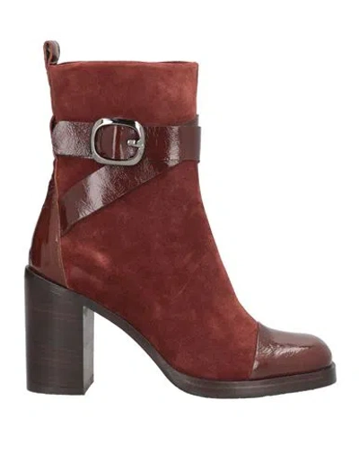 Zinda Woman Ankle Boots Brown Size 7 Leather