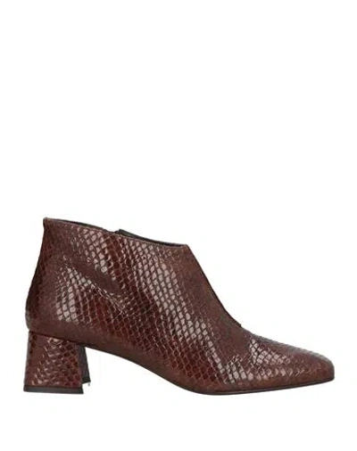 Zinda Woman Ankle Boots Brown Size 8 Leather In Burgundy