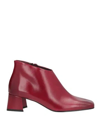 Zinda Woman Ankle Boots Burgundy Size 7 Leather In Multi