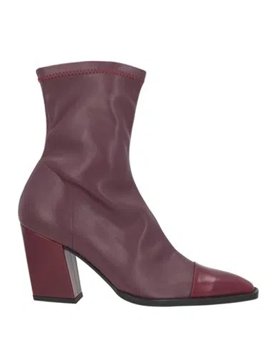 Zinda Woman Ankle Boots Burgundy Size 7 Leather In Purple