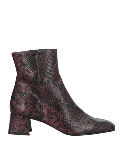 Zinda Woman Ankle Boots Burgundy Size 7 Leather
