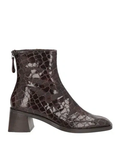 Zinda Woman Ankle Boots Chocolate Brown Size 7 Leather