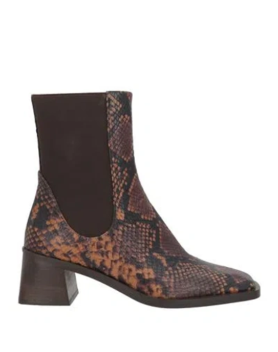 Zinda Woman Ankle Boots Chocolate Brown Size 7 Leather