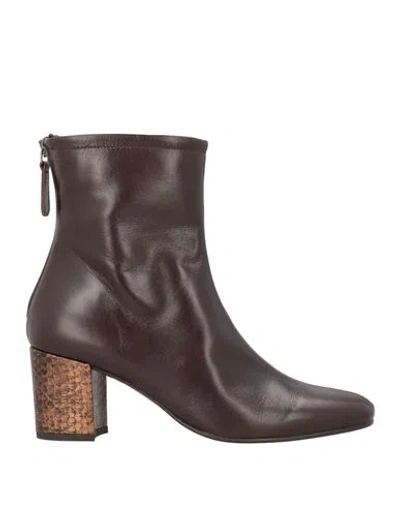 Zinda Woman Ankle Boots Dark Brown Size 7 Leather